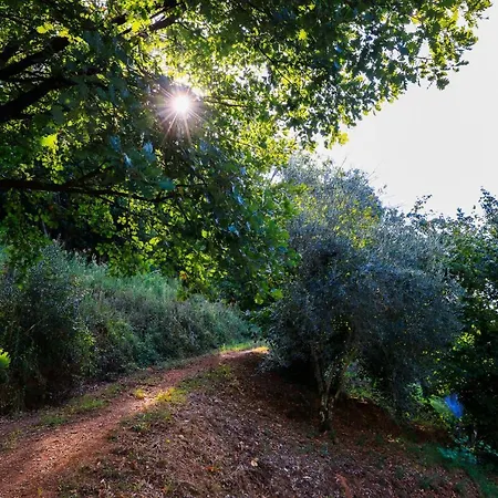 Agroturismo Terra Volonteri Montecatini Terme
