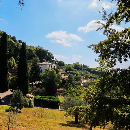 Terra Volonteri * Montecatini-Terme