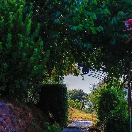 Terra Volonteri Agroturismo *