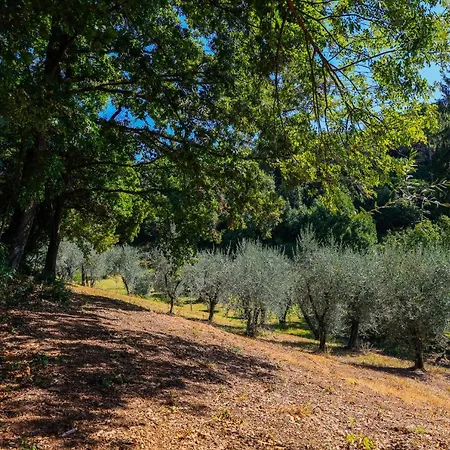 Terra Volonteri Montecatini-Terme