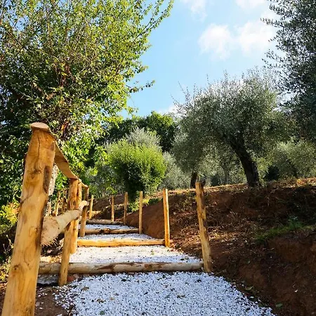 Terra Volonteri * Montecatini Terme