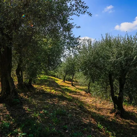 Terra Volonteri Alloggio per agriturismo *