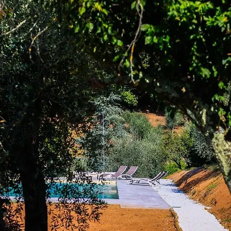 Terra Volonteri Agroturismo